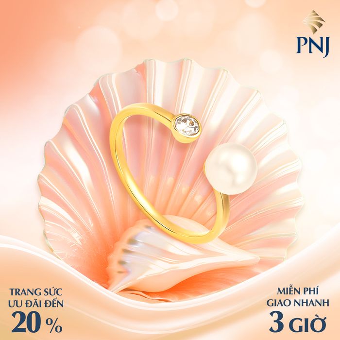 Hình ảnh PNJ 2