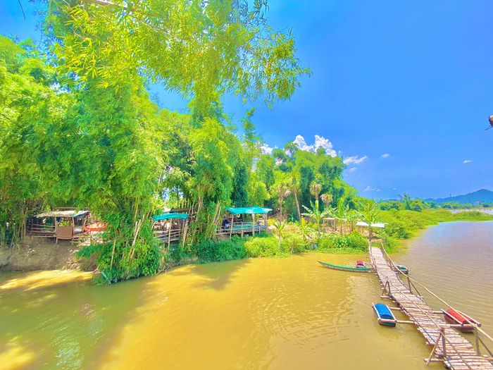 Hình ảnh thư giãn: Câu cá tại Soi Dâu Quán - góc bình yên