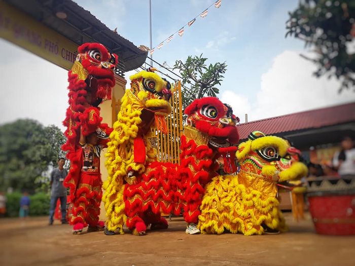 Hình ảnh Đoàn Nghệ Thuật Lân Sư Rồng Vương Long