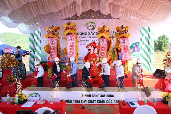 Hình ảnh Đoàn Lân Sư Rồng Nón Lá Lion Dance