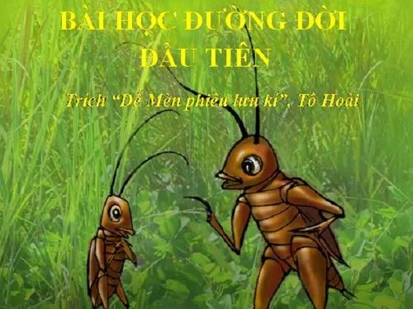 Hình ảnh minh họa Dế Mèn (Nguồn: internet) - Ảnh 1