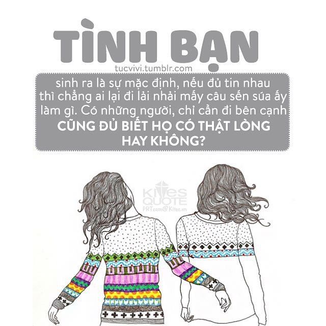 Cuộc sống thiếu vắng những người bạn tri kỷ giống như khu vườn không có hoa - vẫn tồn tại nhưng thiếu đi sắc màu hạnh phúc. Ảnh minh họa 1