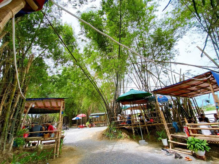 Khoảnh khắc vàng: Câu cá thảnh thơi ở Soi Dâu Quán