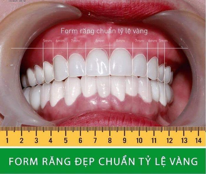 Không gian hiện đại tại Nha Khoa Việt Nha (Ảnh 1)