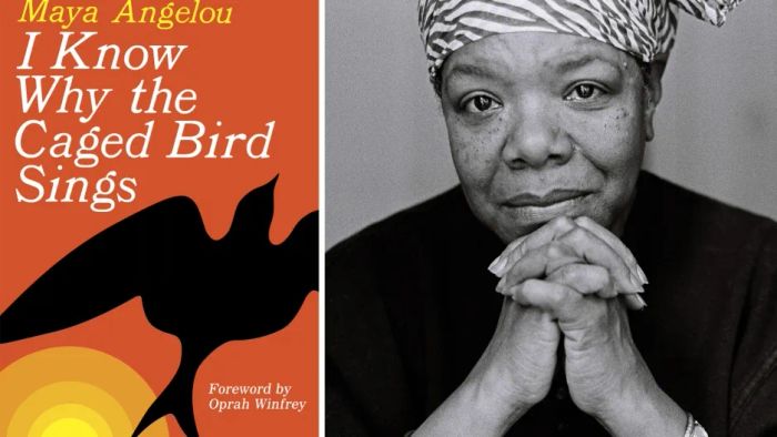 Khoảnh khắc lịch sử: Maya Angelou với bản thảo 'Tôi Biết Tại Sao Chim Trong Lồng Vẫn Hót' - tác phẩm đã phá vỡ sự im lặng về nạn phân biệt chủng tộc và bạo lực giới tại Mỹ thế kỷ 20.