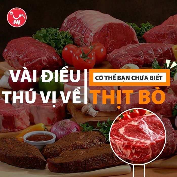 Thực phẩm Hữu Nghị - Ảnh minh họa cao cấp 2