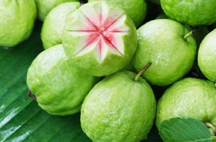 Ảnh chân thực về trái ổi xanh tươi với lớp vỏ mịn màng