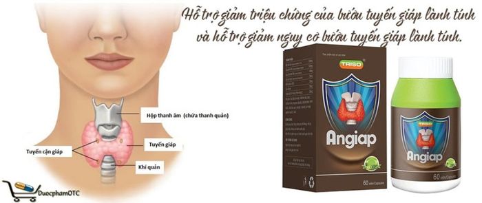 Hình ảnh minh họa sản phẩm TPBVSK Angiap phiên bản 2