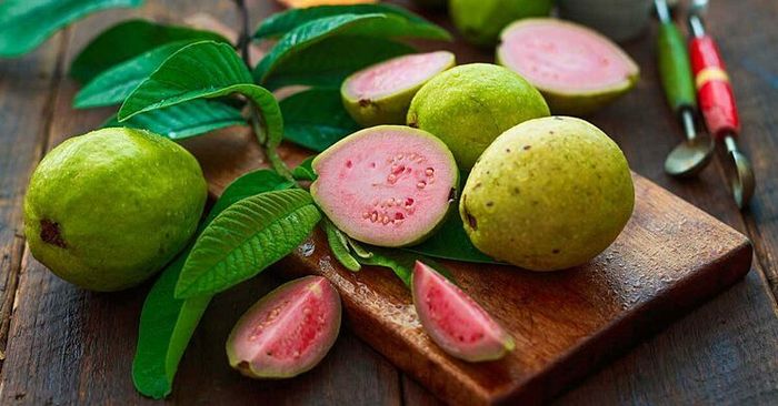 Hình ảnh cận cảnh những trái ổi xanh mướt căng tròn