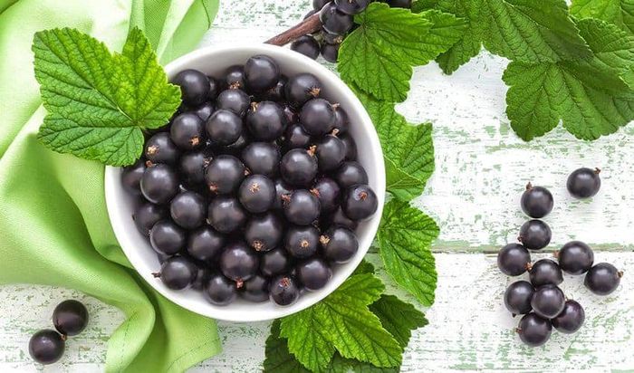 Ảnh chụp nghệ thuật quả lý đen tươi mọng trên nền lá xanh
