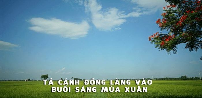 Ảnh minh họa (Nguồn internet) ảnh 1