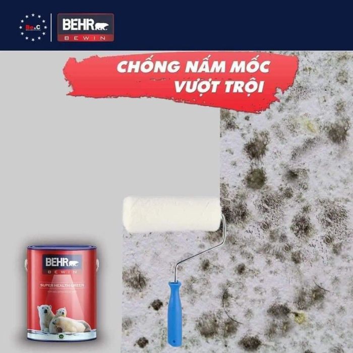 Cửa hàng VLXD Thiện Nhân - Thư viện hình ảnh sản phẩm đa dạng
