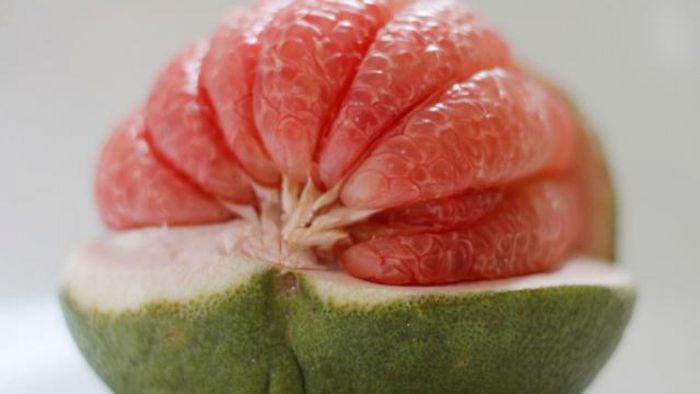 Bức hình nghệ thuật về những múi bưởi trong suốt như ngọc, lấp lánh những giọt sương sớm