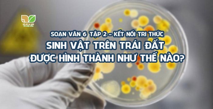 Ảnh minh họa (Nguồn internet) ảnh 1