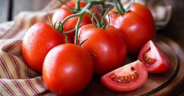 Hình ảnh cận cảnh những trái cà chua chín mọng, sắc đỏ thắm tươi roi rói dưới ánh sáng tự nhiên