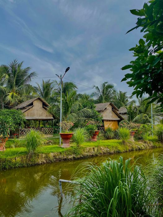 Ẩm Thực Hoa Súng - Bữa tiệc ẩm thực dưới ánh đèn lung linh