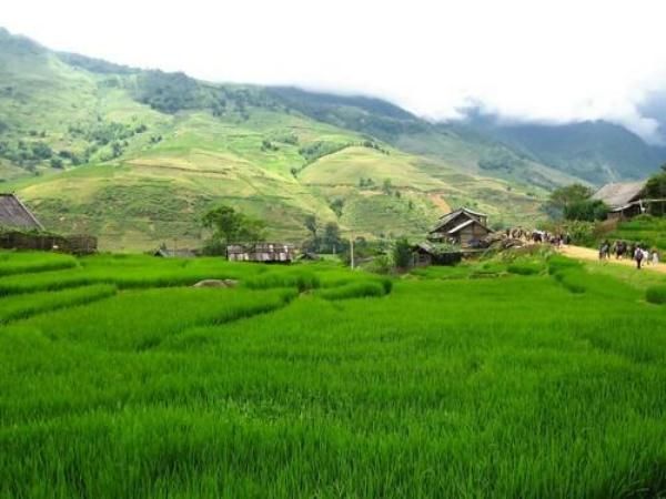 Ảnh minh họa (Nguồn internet) ảnh 1