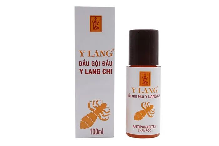 Dầu gội Y Lang - Hình ảnh minh họa 1: Sản phẩm đặc trị chấy với thiết kế chai sang trọng, nổi bật thông tin thành phần dược liệu an toàn.