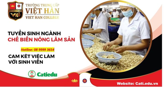Giờ học thực hành chuyên nghiệp tại Trường Trung Cấp Việt Hàn