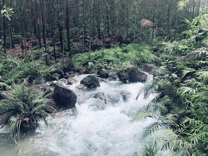 Hình ảnh minh họa số 1 - Dòng suối quê thanh bình