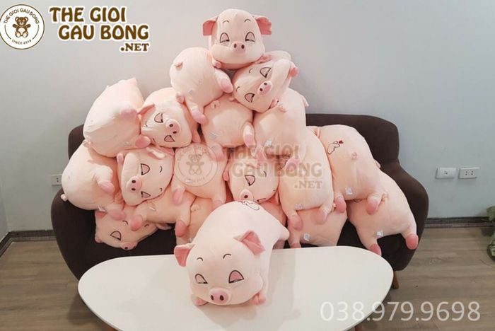 Bộ sưu tập gấu bông đa dạng tại Thế Giới Gấu Bông