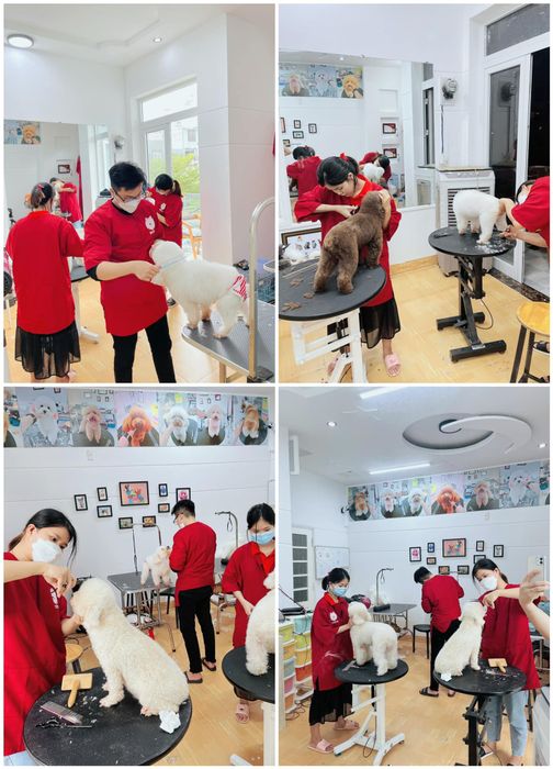 Hình ảnh của RITDO PET