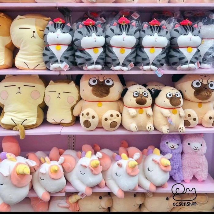 Hình ảnh không gian Ốc Sên Shop đầy màu sắc