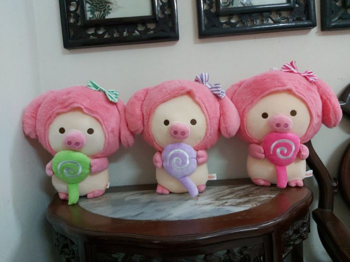 Bộ sưu tập gấu bông đa dạng tại Bear And Rabbit Shop