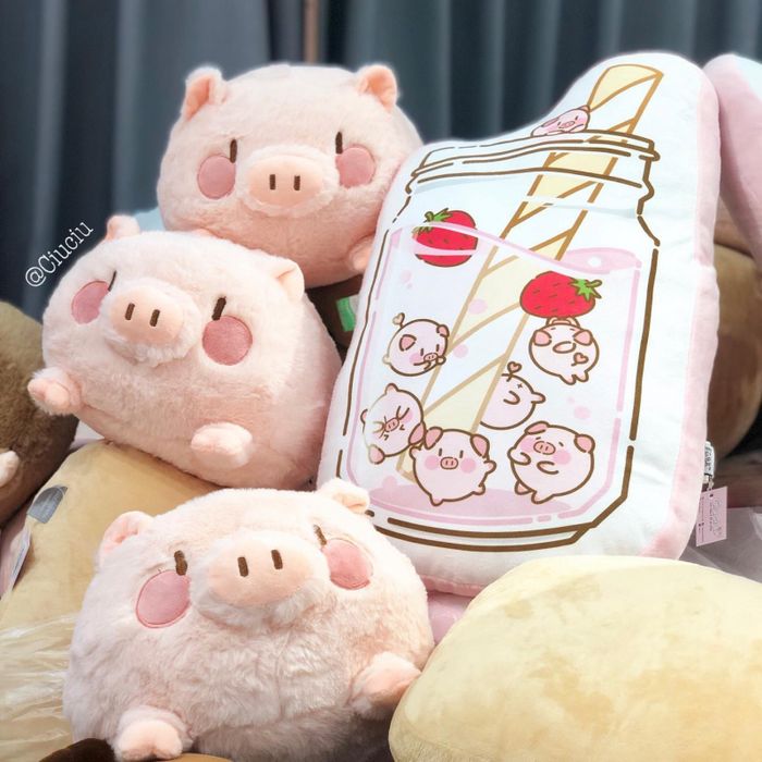 Bộ sưu tập gấu bông đáng yêu tại Ciu Ciu