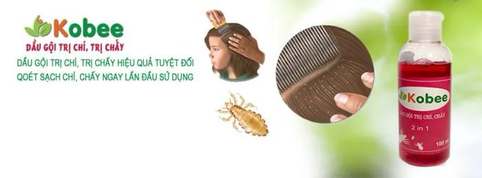 Dầu gội Kobee - Hình ảnh 2: Minh họa sinh động quy trình sử dụng từng bước, giúp người dùng dễ dàng áp dụng để đạt hiệu quả tối ưu