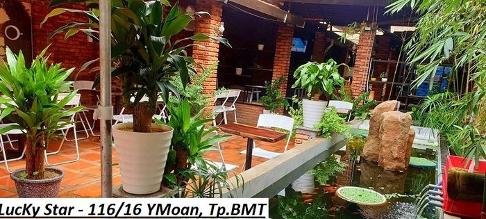 Ảnh 1 - Không gian sang trọng với tone gỗ ấm cúng tại Lucky Star