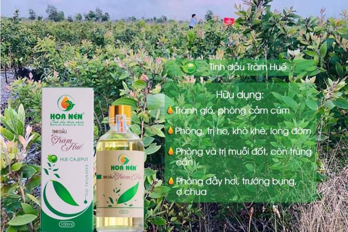 Tinh Dầu Nha Trang - Ảnh 1