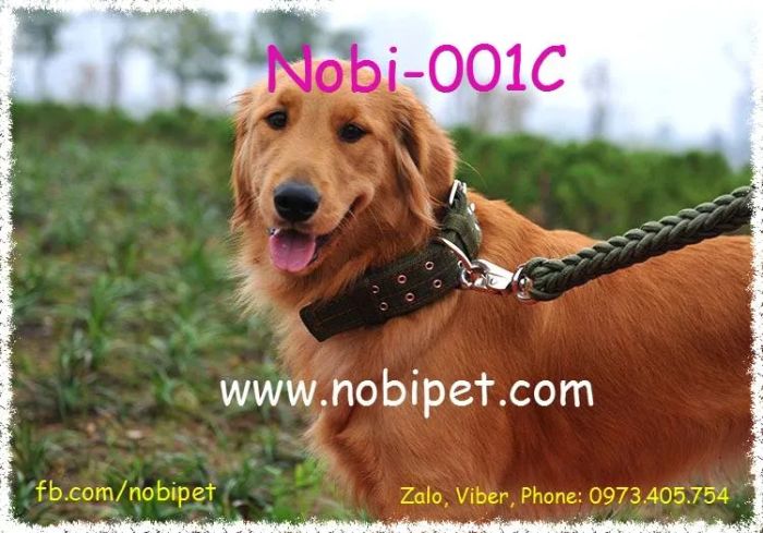 Nobipet - Khu vực chăm sóc và phụ kiện