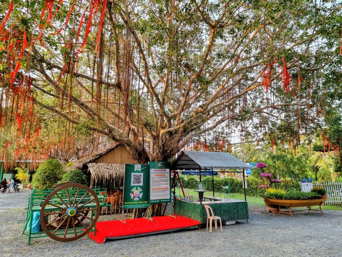 Lan Vương - Sắc màu miệt vườn Nam Bộ - Ảnh 1