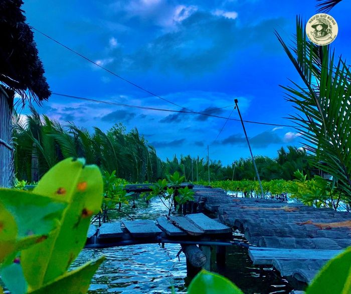 Người Giữ Rừng - Chiều hoàng hôn trên rừng ngập mặn - Ảnh 2