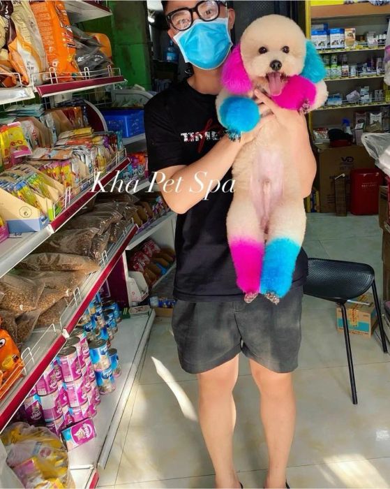 KHA PET SHOP - Khu vực chăm sóc thú cưng