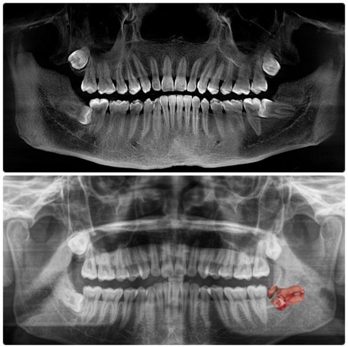 Hình ảnh đội ngũ bác sĩ chuyên môn tại Nha Khoa Sài Gòn