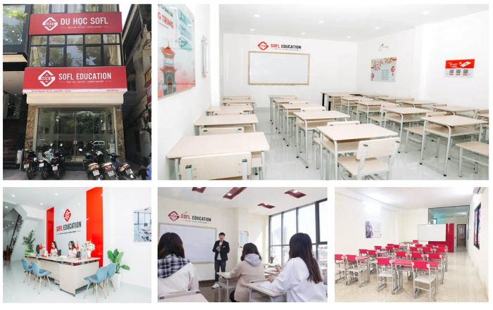 Đội ngũ giảng viên tâm huyết tại SOFL