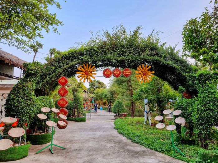 Lan Vương - Hoàng hôn trên những vườn cây trái - Ảnh 2