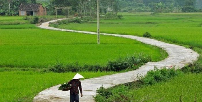 Hình ảnh minh họa dòng sông quê hương (Nguồn: Internet)