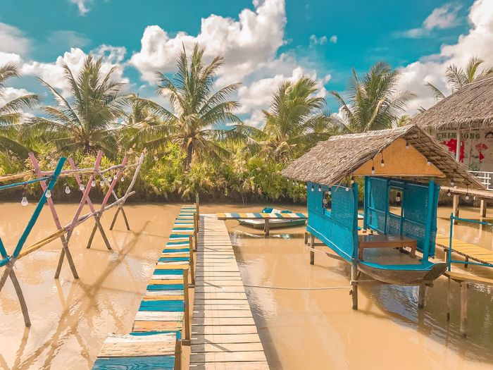 Chín Sông - Đêm lấp lánh bên dòng Cổ Chiên - Ảnh 3