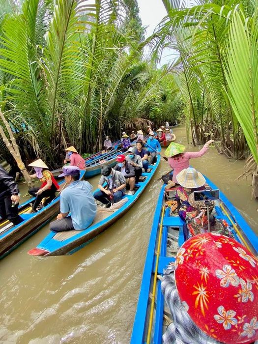 Cồn Phụng - Hoàng hôn vàng trên những vườn dừa - Ảnh 2