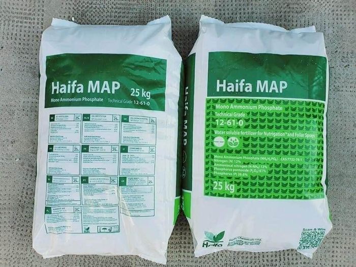 Hình ảnh phân bón MAP Haifa - 12-60-0 1