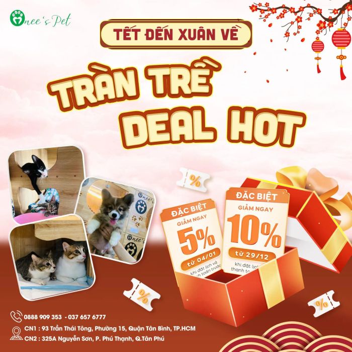 Onee's Pet ảnh 1