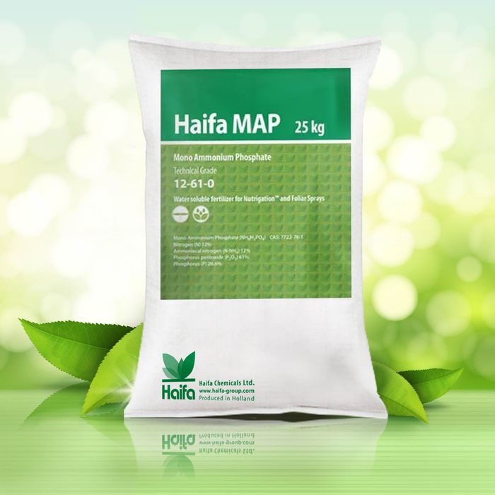 Hình ảnh phân bón MAP Haifa - 12-60-0 2