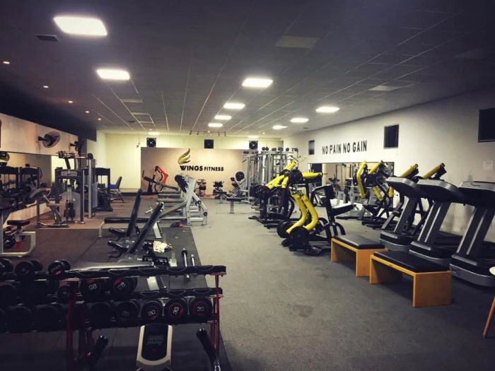 Hệ thống máy tập hiện đại tại Wings Fitness