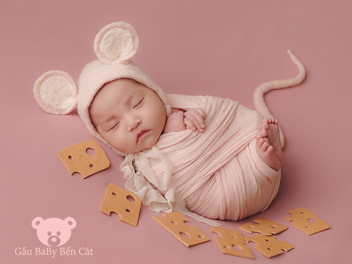 Ảnh 3 – Gấu BaBy Bến Cát