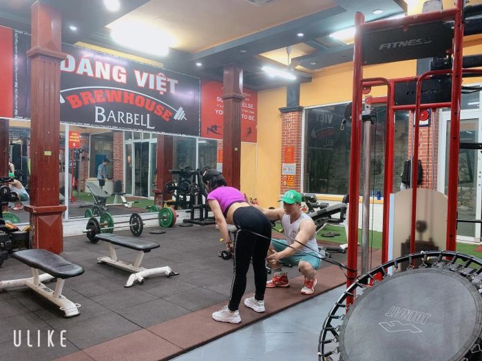 Không gian tập luyện cao cấp tại Dáng Việt Fitness and Gym Centre