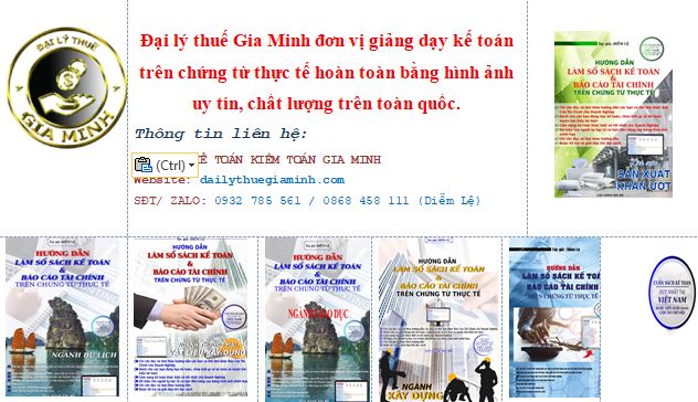 Giấy phép Gia Minh ảnh 1