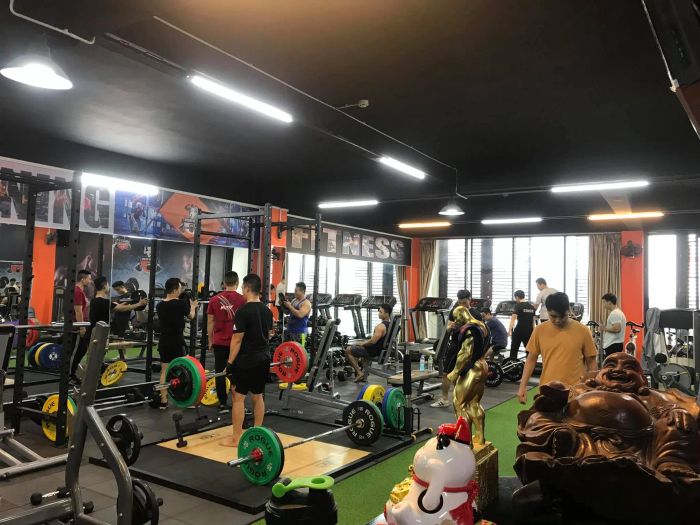 Hệ thống máy móc hiện đại tại Develop Gym and Fitness
